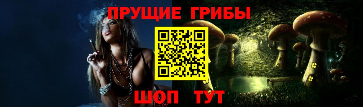 Галлюциногенные грибы GOLDEN TEACHER  Вход с VPN  Саратов 